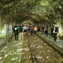 아신역길 이미지