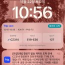 시온p&s international | 겨울 상하이 여행 | 클럽| tomorrowland 페스티벌 때문에 왔는데 잠들어버려 슬픈person =me | part1