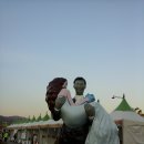 문화조경 - 함양군 운림1길 20 | 문화조경