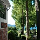 카페카사비앙카 이미지