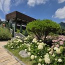 장계로터리 이미지