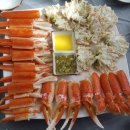 코리아헌터 이미지