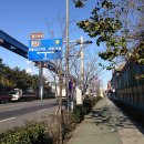 월미은하레일역 옆 이미지