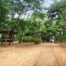 매산큰길 이미지