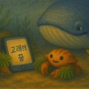 빗바위농장 | 오션토피아 ⑤갯바위구 물풀동 파래 25번지