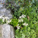 마이산민박 이미지