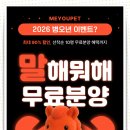 댕댕이루 | 남양주강아지분양 댕댕이 입양 후기