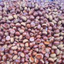 남구-038 이미지