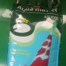 코이푸드 이미지