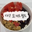 남양주 요거트 아이스크림 맛집 “요거트월드 다산역점” 내 돈 내산 후기 및 매장