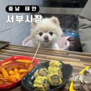충남 태안 애견동반 가볼만한곳 여행 태안서부시장 주차장 먹거리