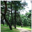 송림공원 내 이미지