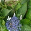 곡성-268 이미지