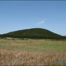 성읍리-1 이미지