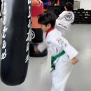 베스트태권도 이미지