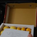 영희축산 이미지