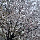 부평구청역 9번 출구 이미지