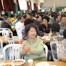 송정초등학교 이미지