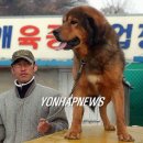 오수1 이미지