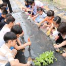 백제초등학교 이미지