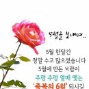 덕은 외롭지 않다 : 절차탁마 / 최성준 신부 이미지