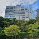 에이스골프연습장(장유) 이미지