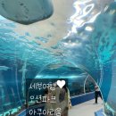 오션파크 | 세부 여행 중 꼭 가볼만한 곳 아이랑 세부 오션파크 솔직 후기