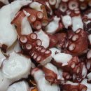 바보푸드 이미지