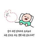 강아지가 매일 새벽 순찰하는 이유? 이미지