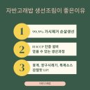 고래 생선아줌마 네이버블로그