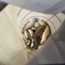 중부낚시터 이미지