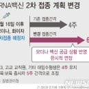 mRNA 접종 간격 4→6주 조정.."백신부족 비상 상황 공식화한 것"(종합) 이미지