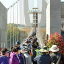 출렁다리(1) 이미지