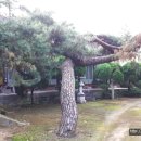 백룡사석조여래좌상 이미지