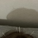 새들한의원 이미지