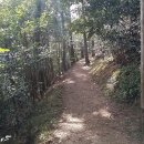 제주리움 이미지