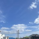 안뜨레팡 | [블챌] 주간일기 #12 in Jeju