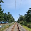 등명해변(철길옆) 이미지