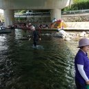 새골1교 이미지