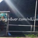 팔미리낚시터 이미지