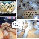 도봉-창동-도봉-5290 이미지