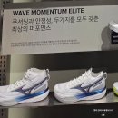 배구의모든것 | [배구일지] 새 배구화 영입(미즈노 웨이브 라이트닝 엘리트 미드) 내돈내산 후기
