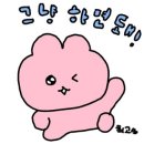 컬러풀리 이미지