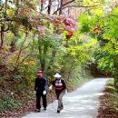 다이어트로 등산을 찾는 이유 (펌글) 이미지