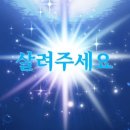 (주)음연 | 살려주세요