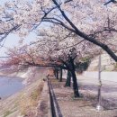 수안보온천길 이미지