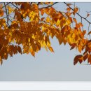 영풍보조기 이미지