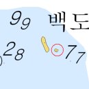 작은백도