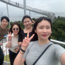 참좋은재가노인돌봄센터 Daum카페