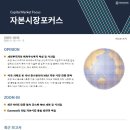 개인투자자의 해외주식투자 특성 및 시사점 이미지